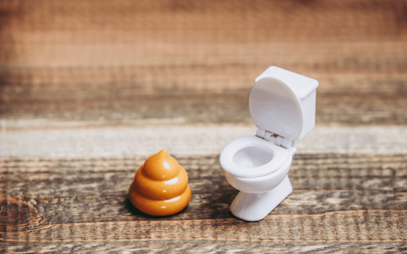 10 Telltale Symptoms of Fecal Impaction You Shouldn't Ignore