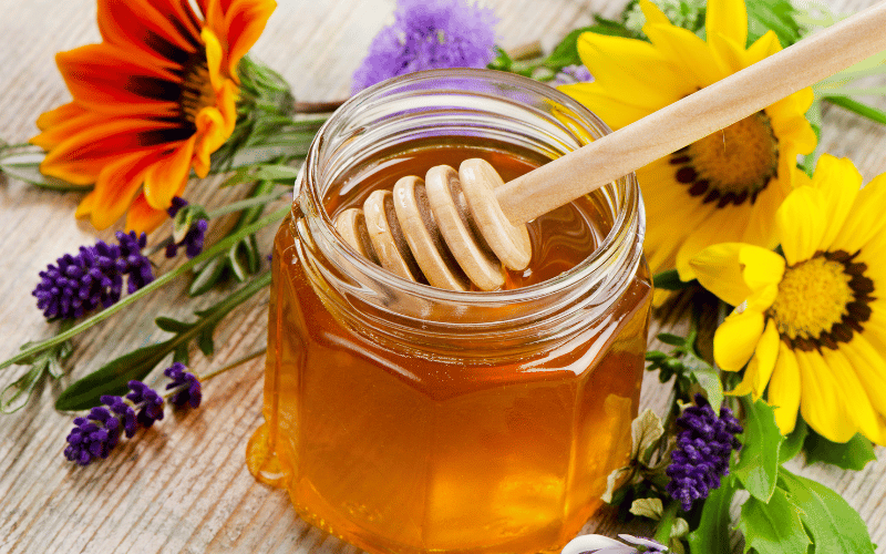 Honey Nature's Sweet Healer