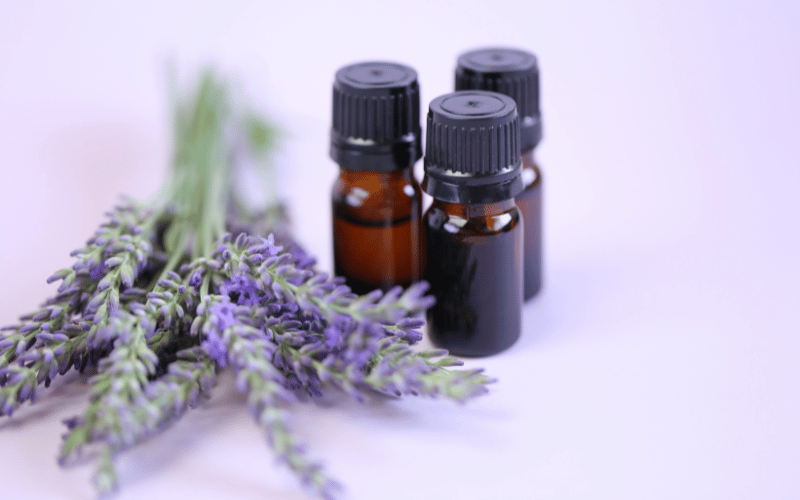 Lavender Oil The Aromatic Ally