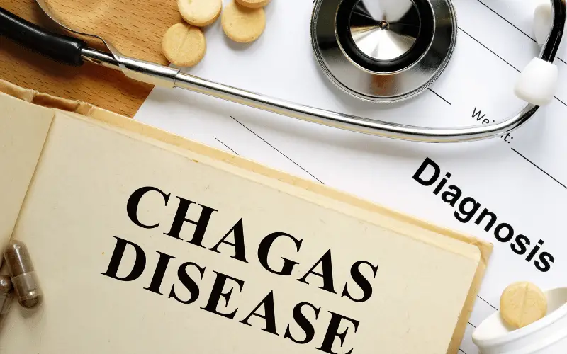 15 Essential Facts About Chagas Disease (American Trypanosomiasis) Every Person Should Know