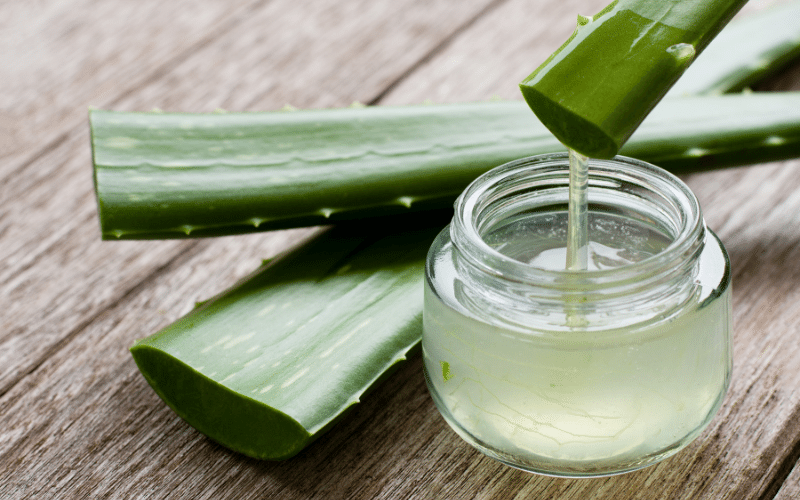 Aloe Vera Gel Nature's Gentle Touch Against the Blaze