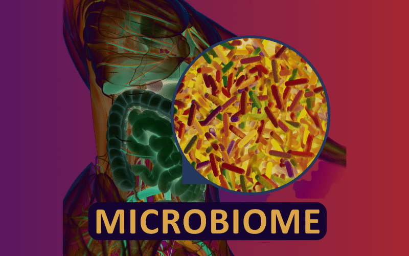 The Gut's Community Microbiome's Role in Celiac Development