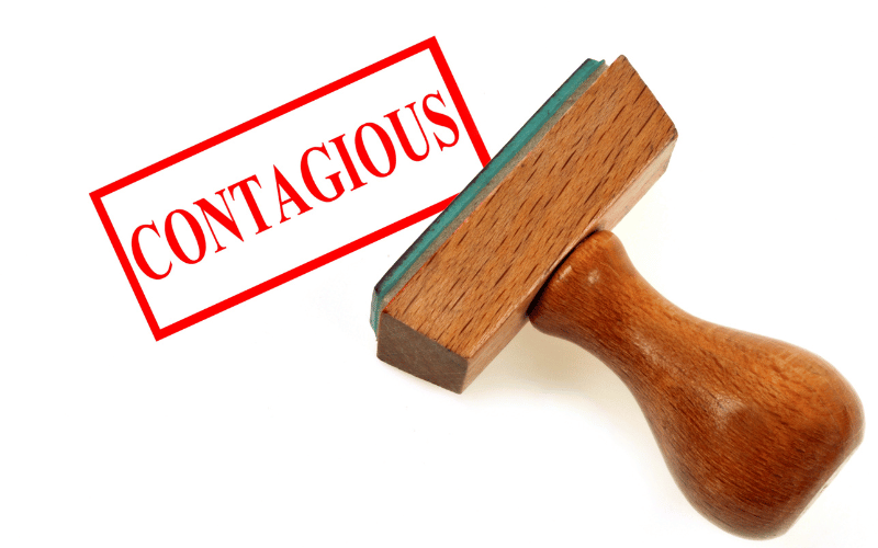 Is It Contagious Debunking Common Myths