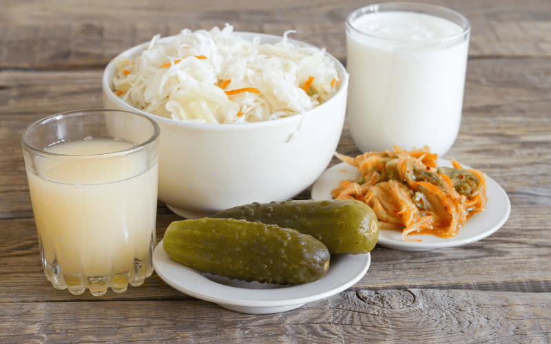 Probiotic-rich Foods The Army of Good Bacteria for Gut Fortification