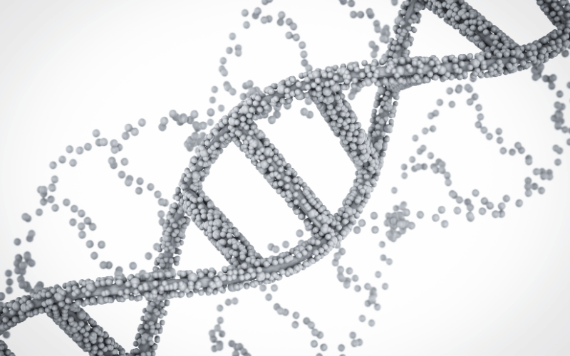 Genetics The Underlying Architect of Anodontia