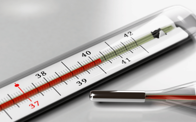 Fever and Chills Pemphigus's Thermal Fluctuations