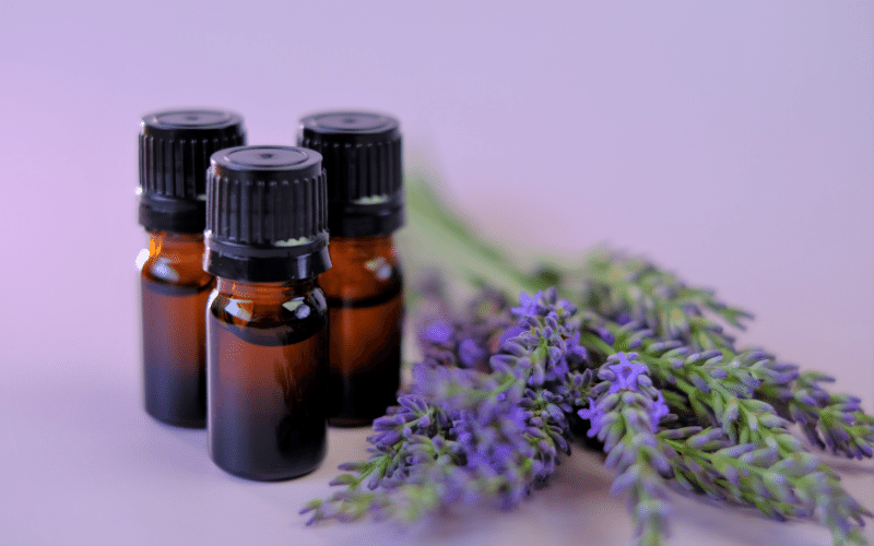 Lavender Oil Aromatic Soothing for the Searing Pain