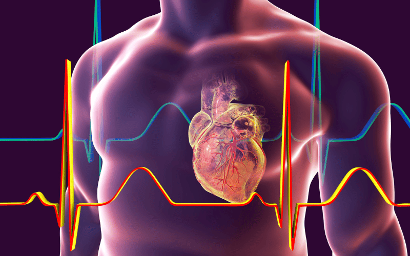 Cardiac Complications The Heart's Hurdles in hEDS