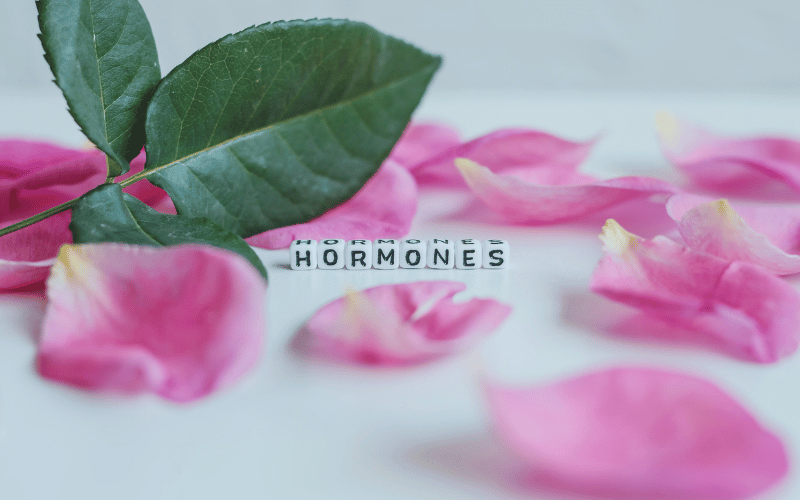 Hormonal Changes A Dance of Dynamics