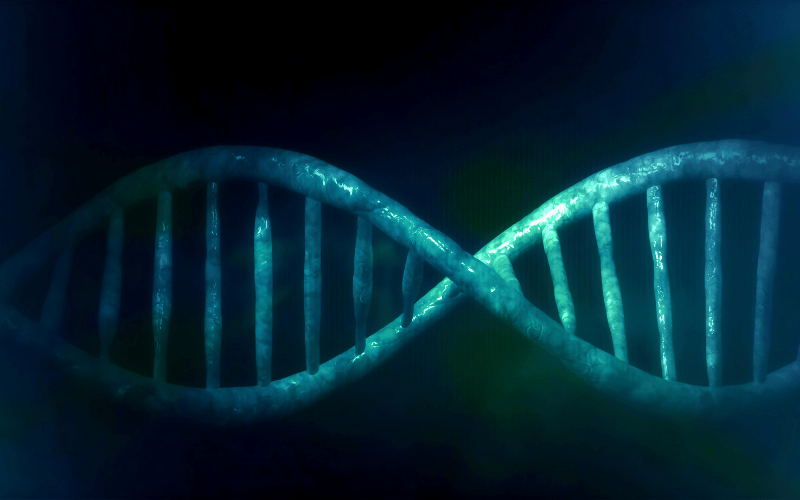 The Genetic Blueprint Understanding EDS Mutations