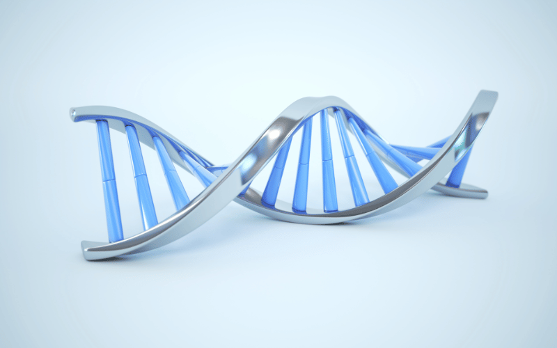 Genetic Predisposition The Blueprint of Oral Vulnerability