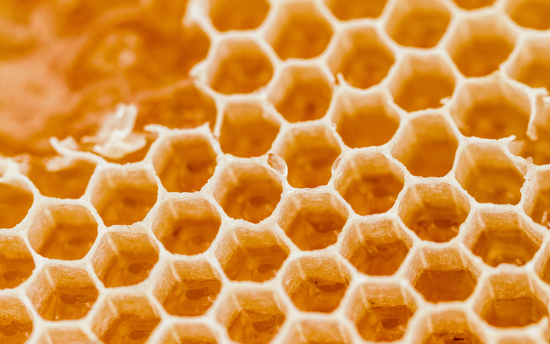 Raw Honey Nature’s Sweet Healer