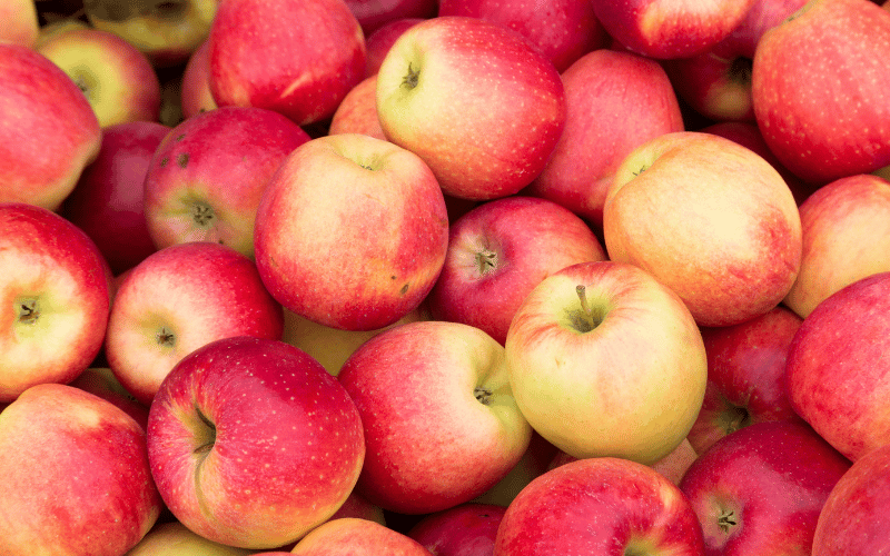 Apples - A Sweet Solution for Gallbladder Health