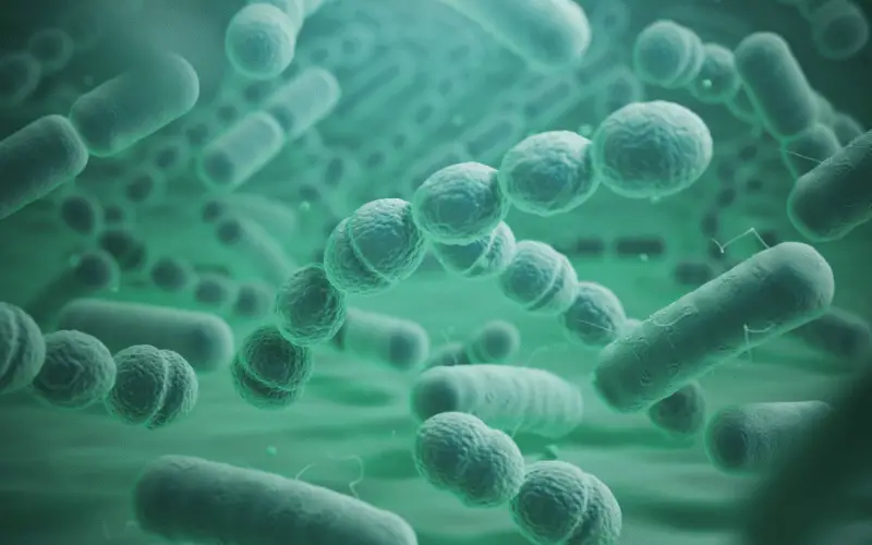 Bacterial Infections - A Common Adversary