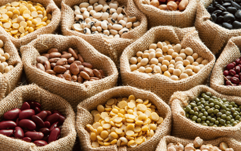 Beans and Legumes A Fiber and Protein Power Duo