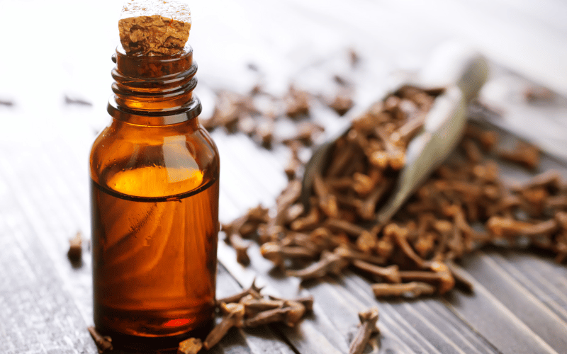 Clove Oil