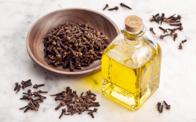 Clove Oil