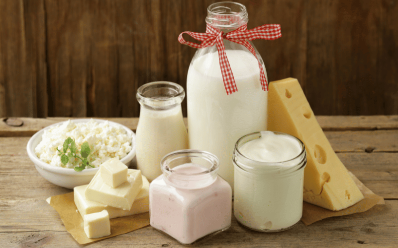 Dairy A Source of Quality Protein and Calcium