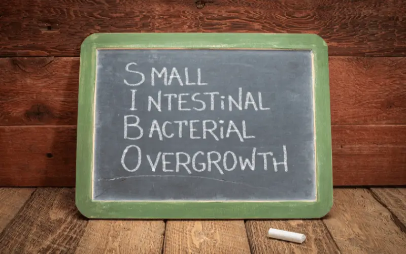 Deciphering the Mysteries of Small Intestinal Bacterial Overgrowth (SIBO)