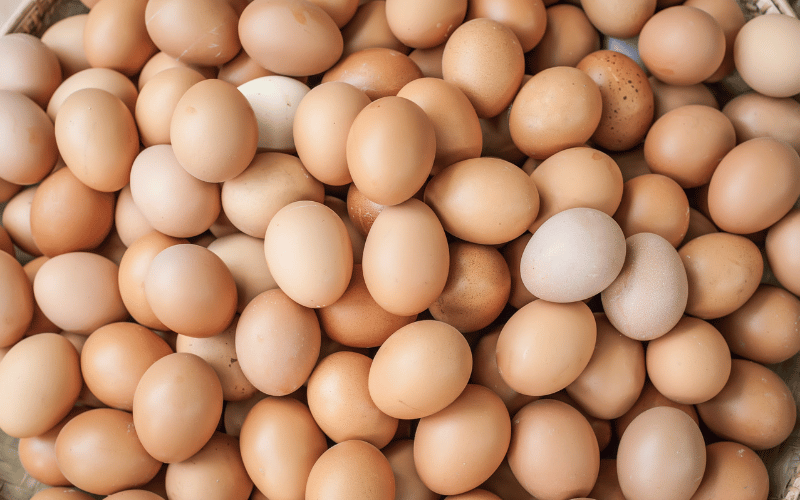 Eggs