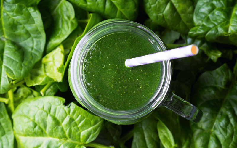 Embracing the Lush Goodness of Spinach A Gentle Green with Powerful Impact