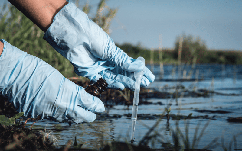 Environmental Triggers - The World Around Us