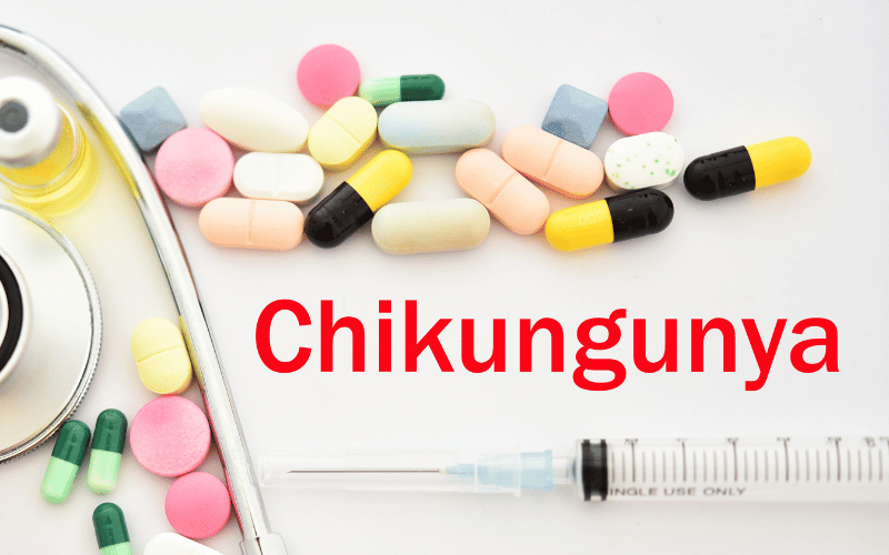 Frequently Asked Questions About Chikungunya Fever