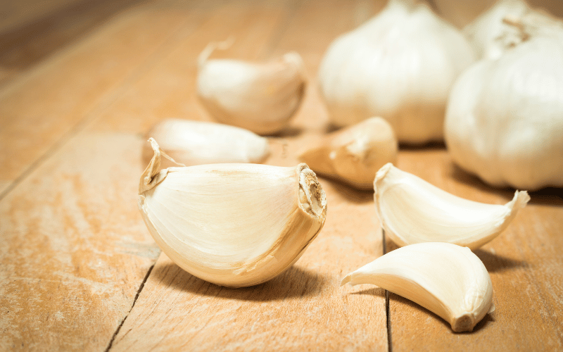 Garlic - Unleashing the Power of Allicin