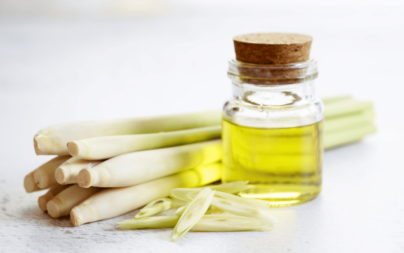 Lemongrass Oil Mouthwash