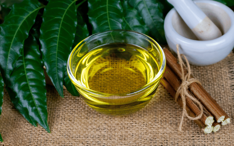 Neem Oil – The Verdant Protector from Eastern Canopies