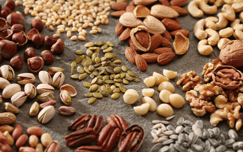 Nuts and Seeds The Powerhouse of Protein and Healthy Fats