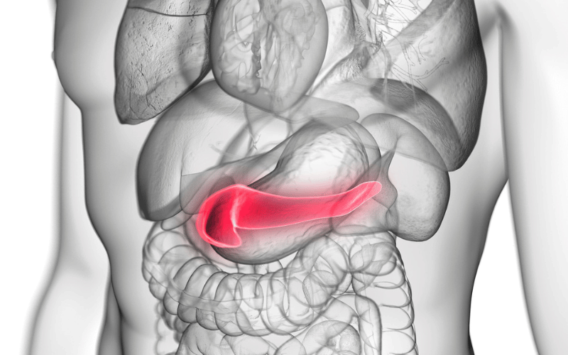 Pancreatic Insufficiency