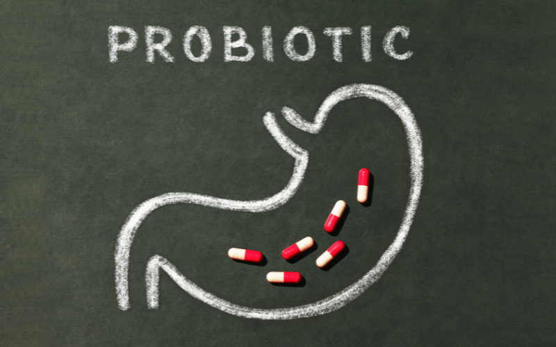 Probiotics - The Silent Guardians