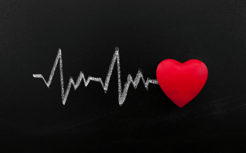 Rapid Heartbeat – The Heart’s Response to Stress