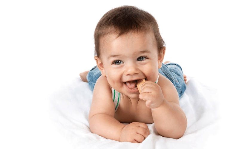 Teething Biscuits as a Tasty Soother