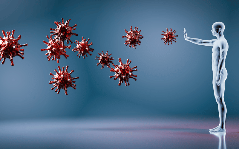 The Cellular Battleground Understanding the Virus-Host Interplay