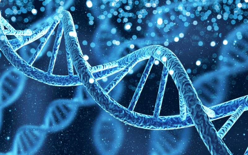 The Genetics Behind Hypodontia