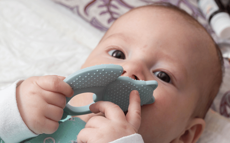 The Role of Teething Toys