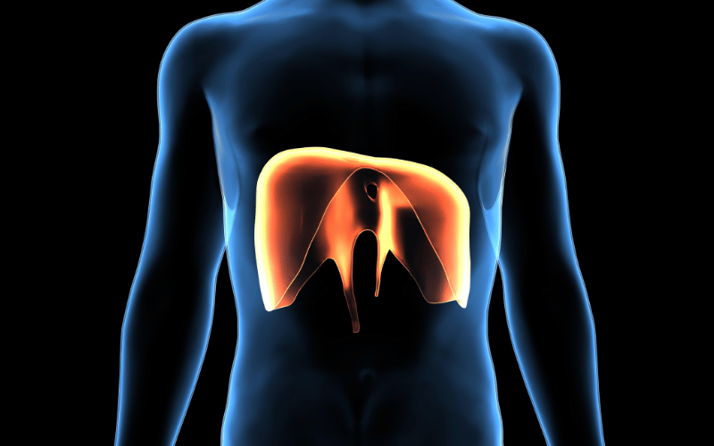 The Top 10 Symptoms of Diaphragmatic Rupture Navigating Through a Diaphragmatic Injury