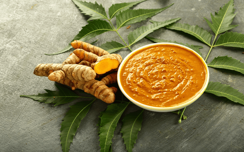 Turmeric Paste