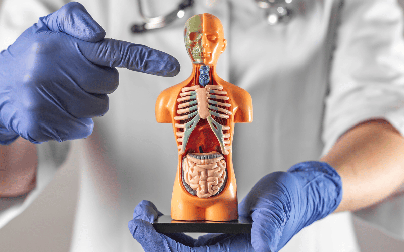 Understanding Tracheal Stenosis Identifying 10 Key Symptoms