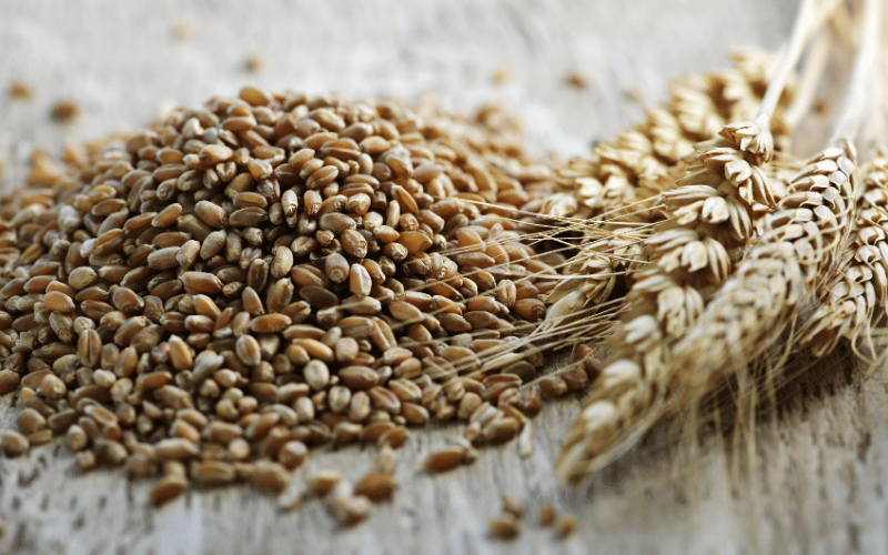 Whole Grains A Fiber-Rich Option