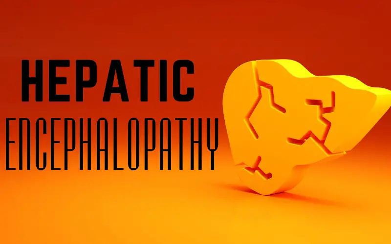 Expectations vs. Reality Decoding Hepatic Encephalopathy Prognoses