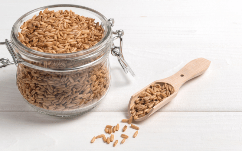 Whole Grains A Cornerstone in Diabetes Management