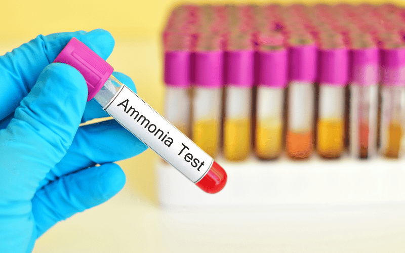 Ammonia Levels and Prognostic Implications in HE