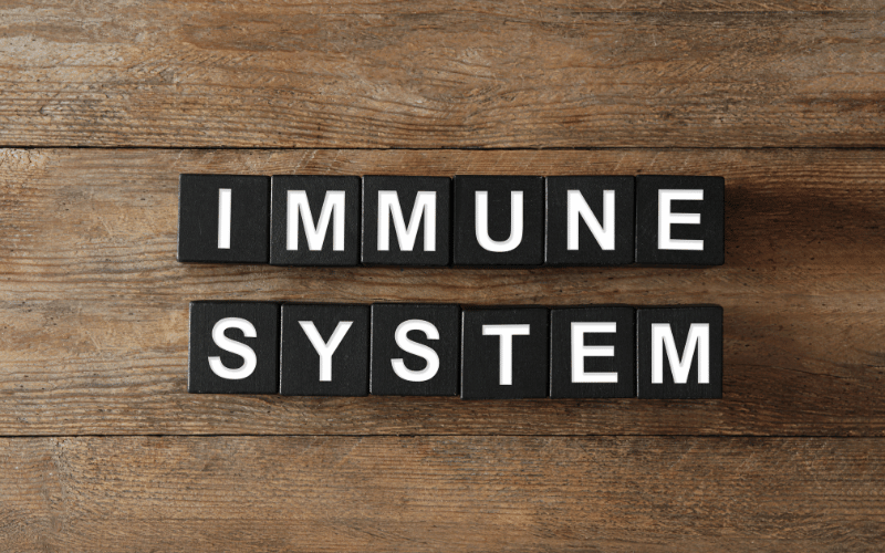 Immune System Dysfunction Unraveling the Inner Turmoil