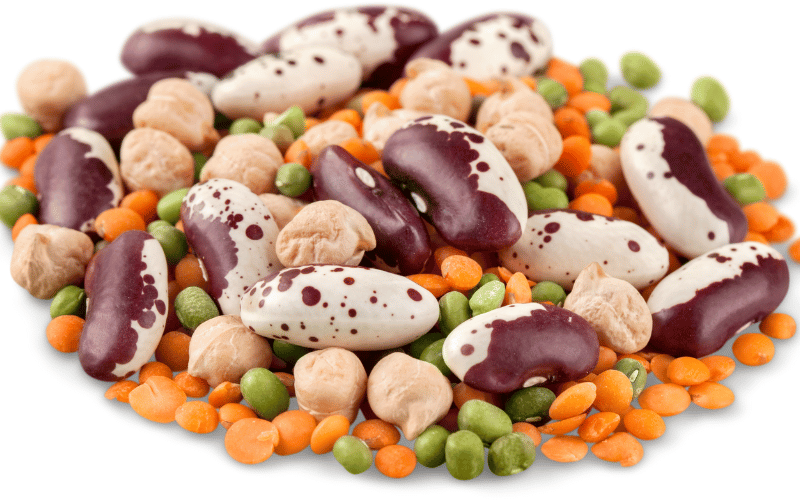 Legumes Protein and Fiber Champions in Diabetes Diet