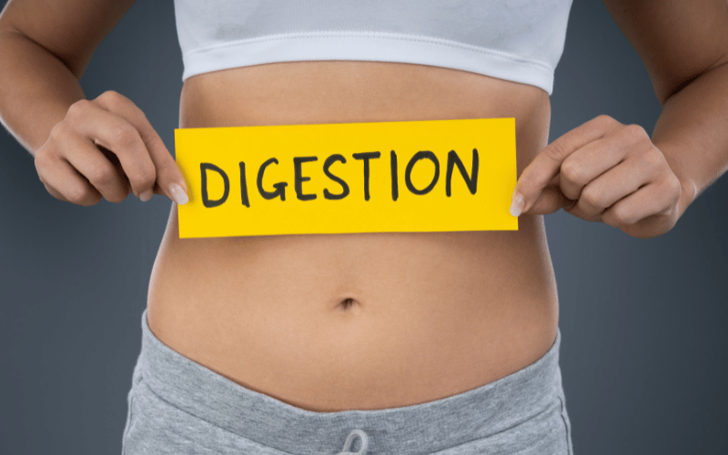 Changes in Digestion The Disrupted Process