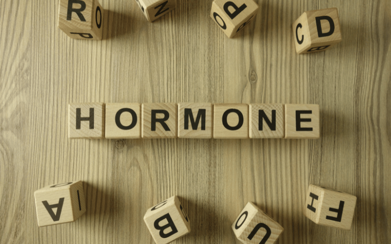 Endocrine Echoes Hormonal Fluctuations Associated with Morgagni Hernia