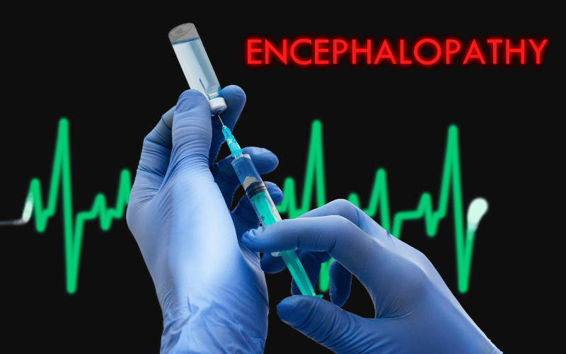 Hepatic Encephalopathy The Cognitive Shadow of HRS